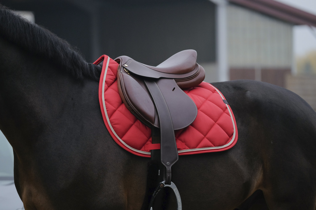 EQUITHEME 'Classic' Schabrak Röd - Full size - 2