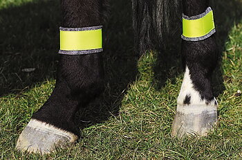 NORTON Yellow Bandages For Hindlegs Yellow 2 pcs
