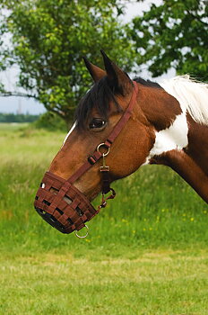 Générique Betesreducerare i Nylon Chocolate, Full