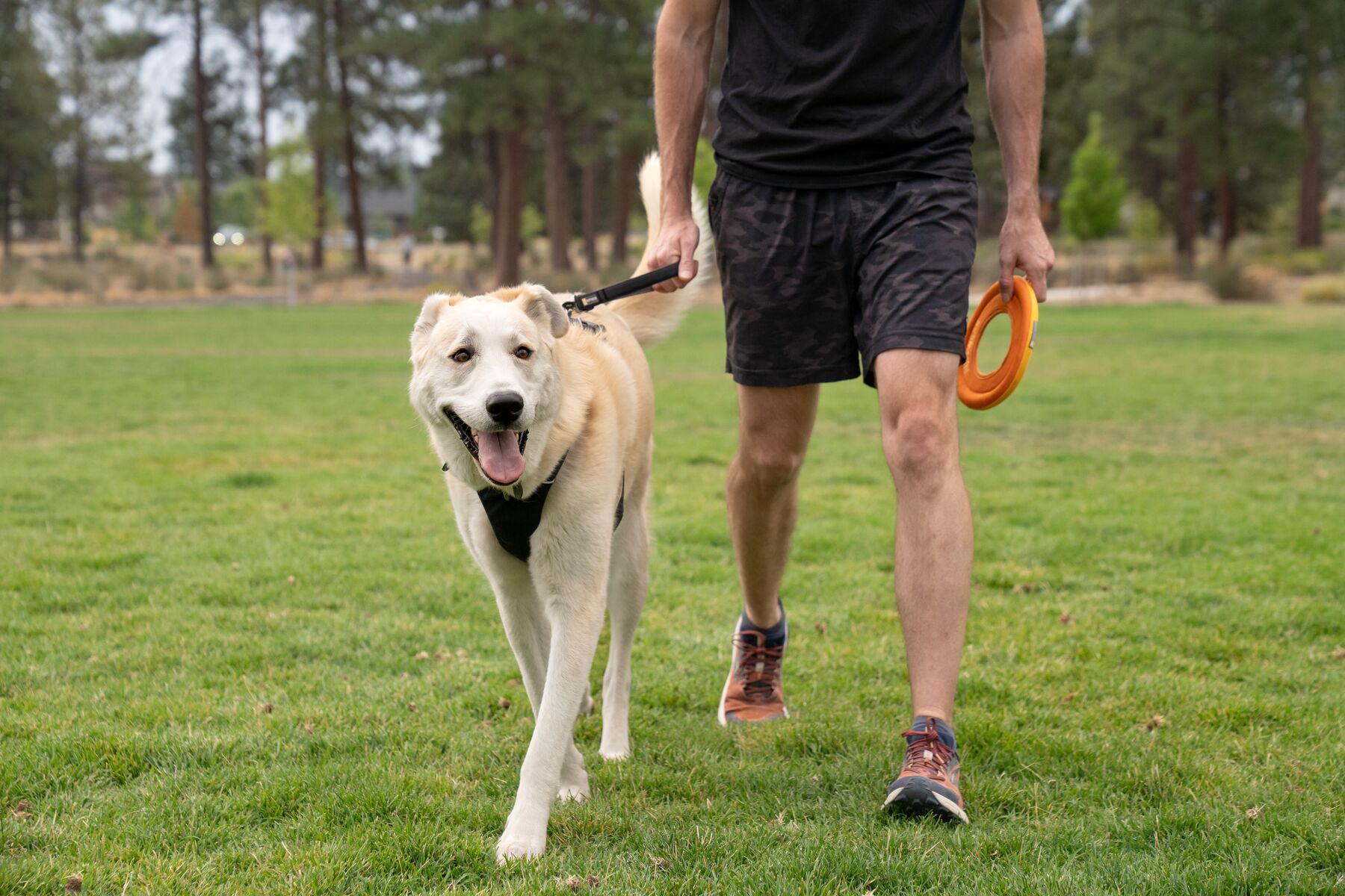 Ruffwear Front Range™ Short Leash - Spring Fade 