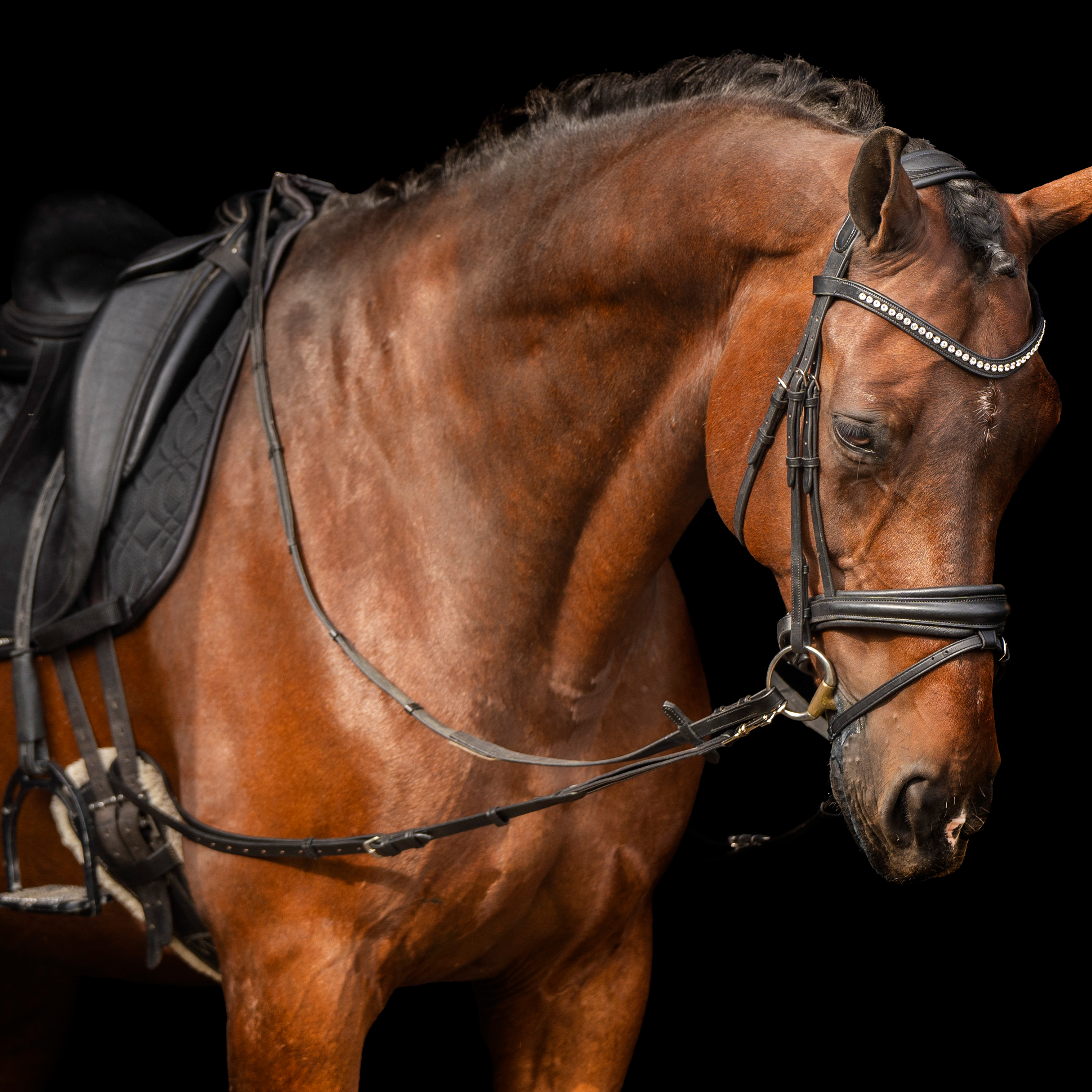 Side reins leather with elastic Black - 3