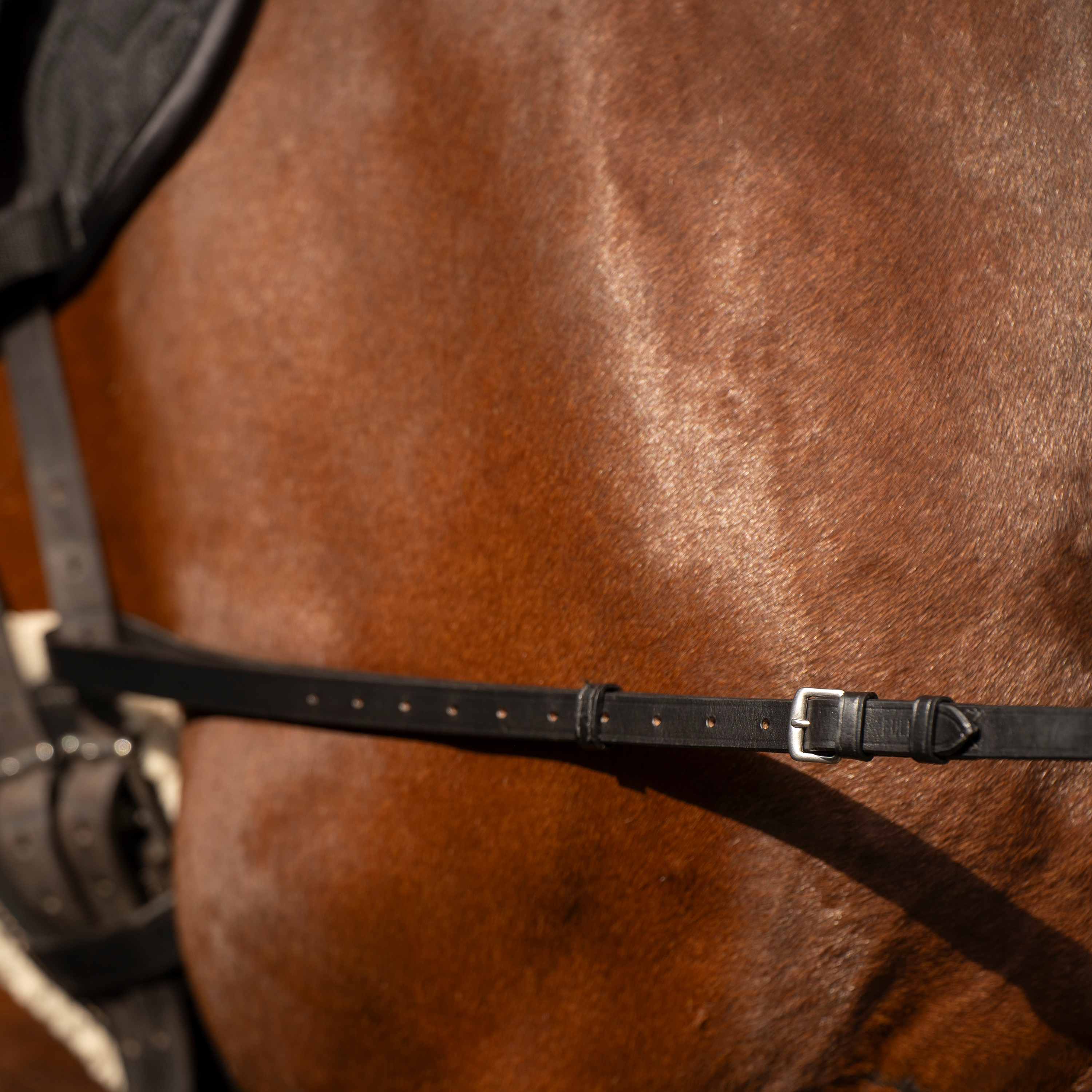 Side reins leather with elastic Black - 4