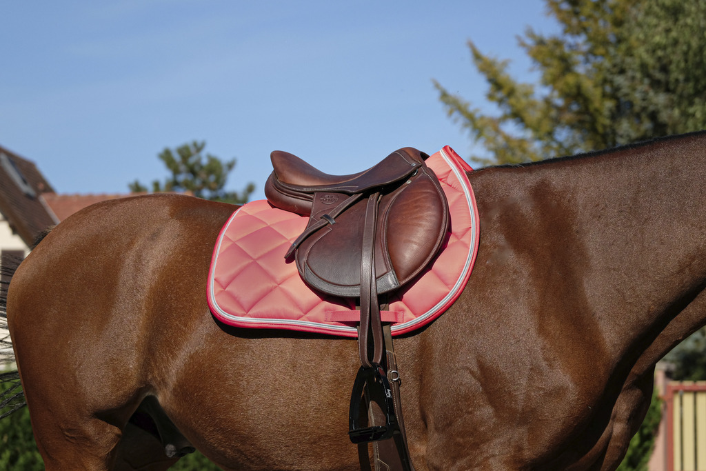 EQUITHEME 'Classic' Saddle Pad Old Pink - Full size - 2