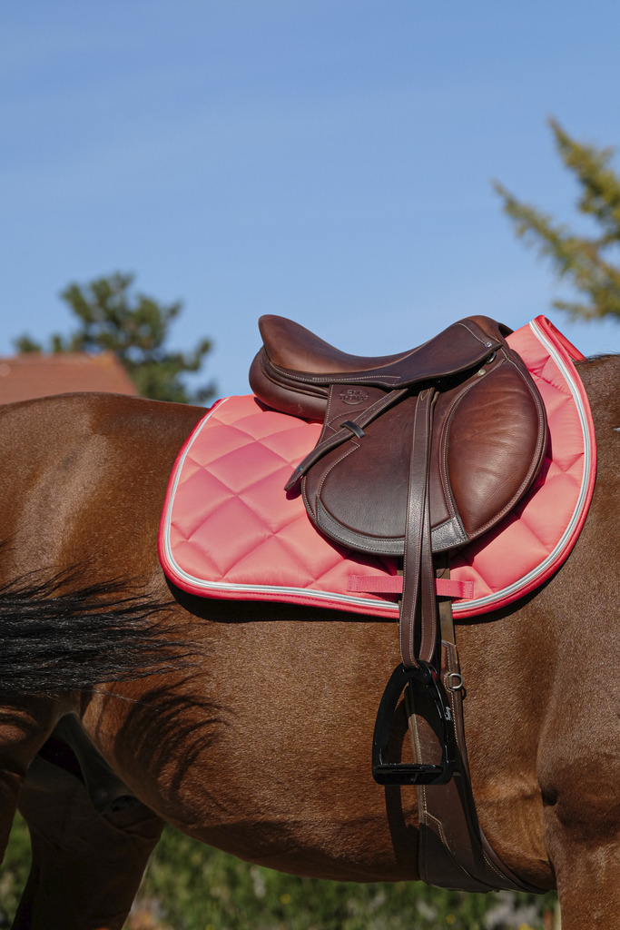 EQUITHEME 'Classic' Saddle Pad Old Pink - Full size - 3