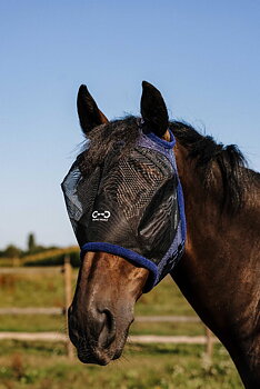 Riding World First Kärpäshuppu Ilman Korvia Navy, Pony