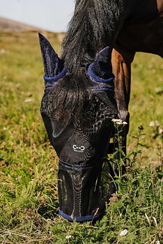 Riding World First Kärpäshuppu Navy, Cob