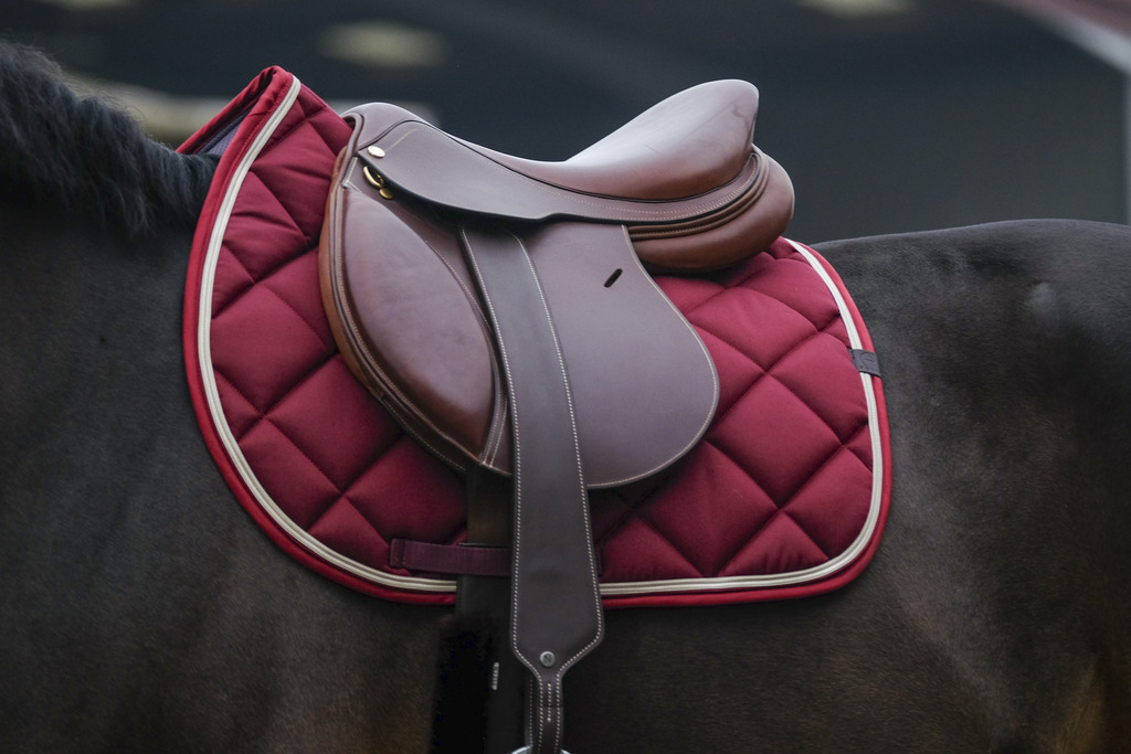 EQUITHEME 'Classic' Saddle Pad Burgundy - Full size - 4