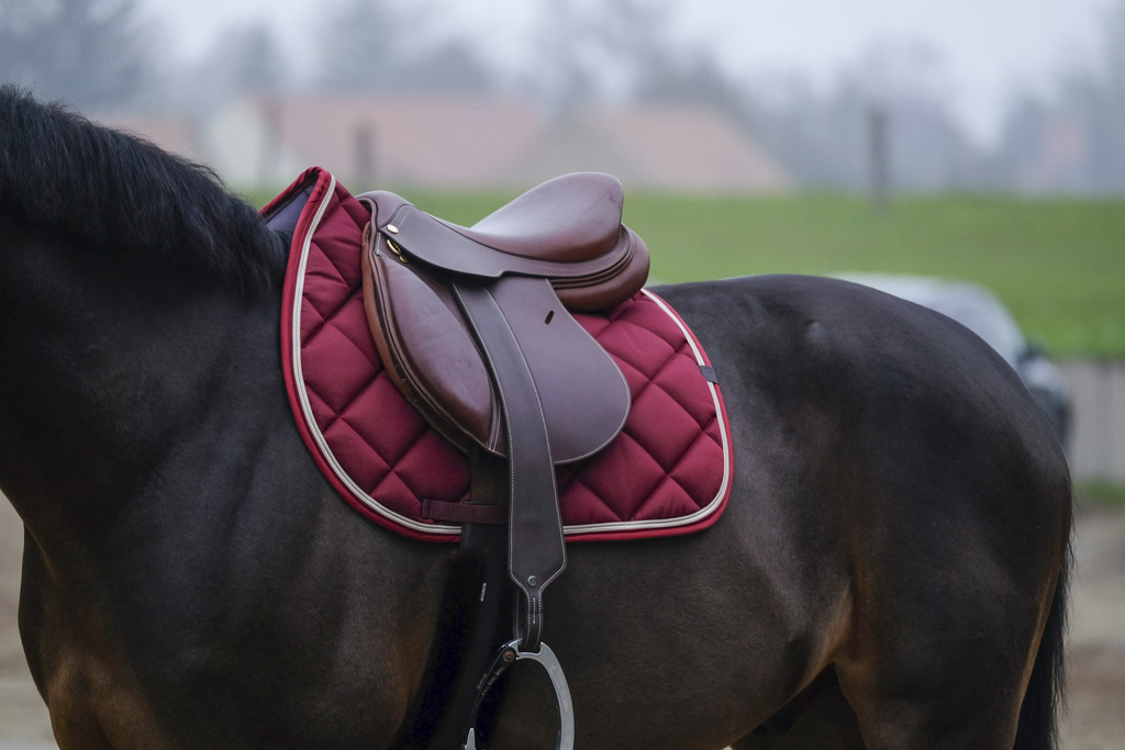 EQUITHEME 'Classic' Saddle Pad Burgundy - Full size - 2