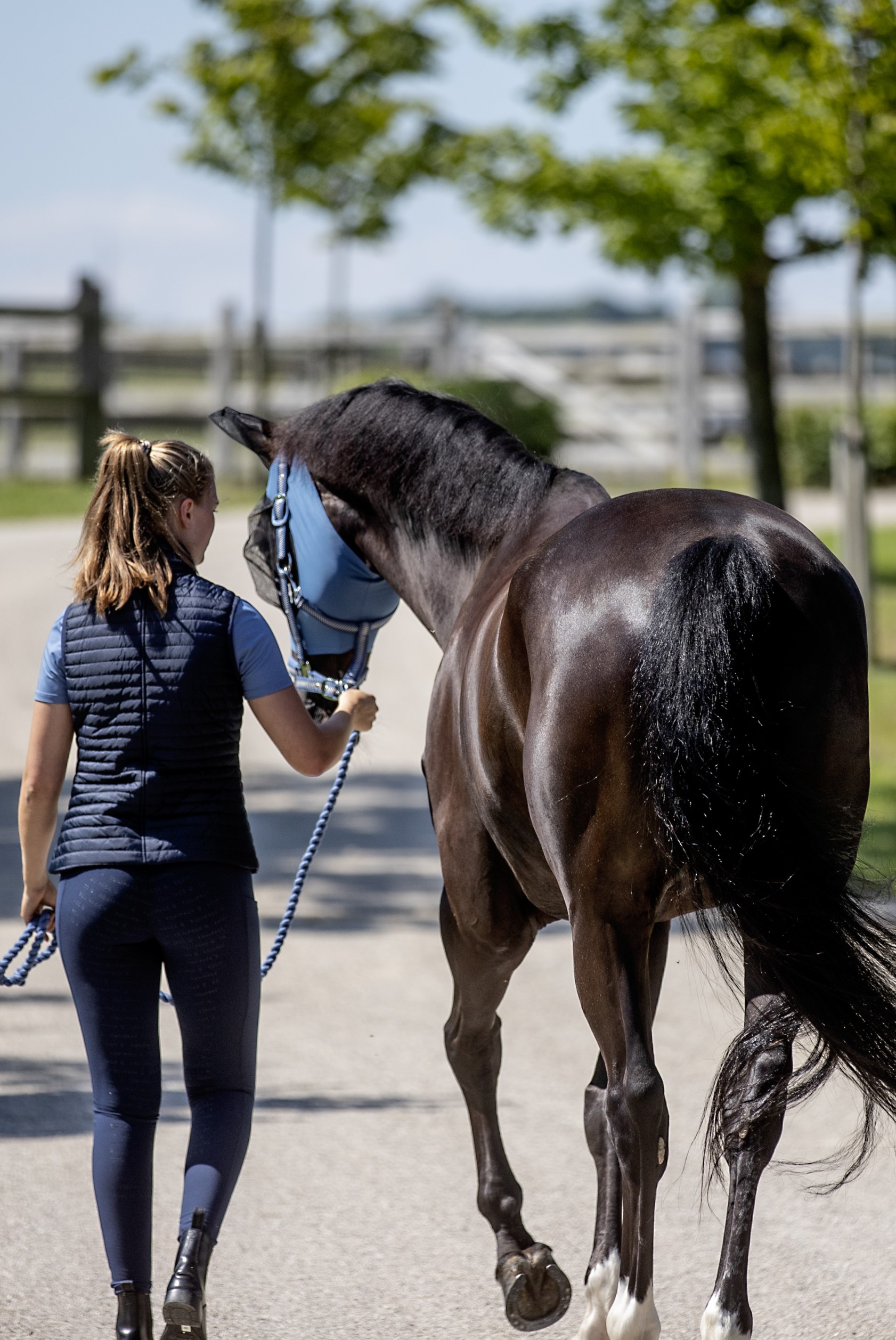 Equipage Tate Riding Vest  - Navy - 7