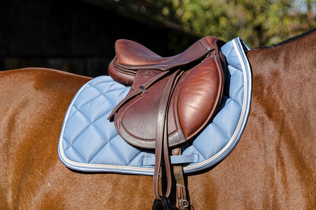 EQUITHEME 'Classic' Saddle Pad Duck Blue - Full size - 2