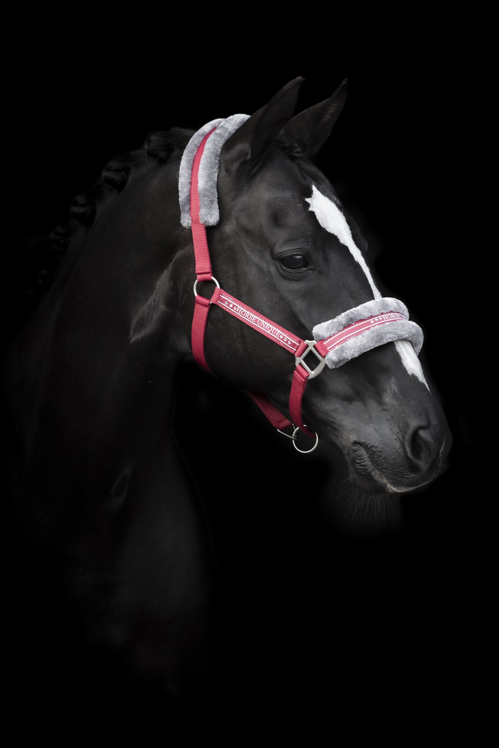 Källquist Equestrian - Grimma Horse Unique - Röd (Cob)