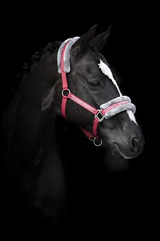 Källquist Equestrian- Halter Horse Unique - Red