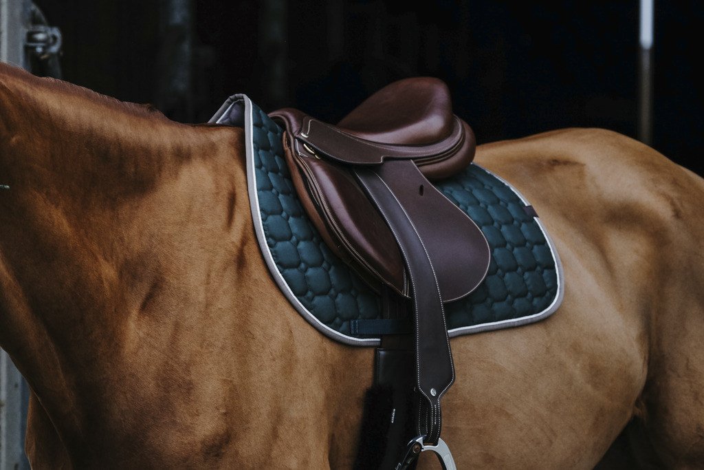 EQUITHEME 'Orion' Saddle Pad Dark Green - Full size - 2