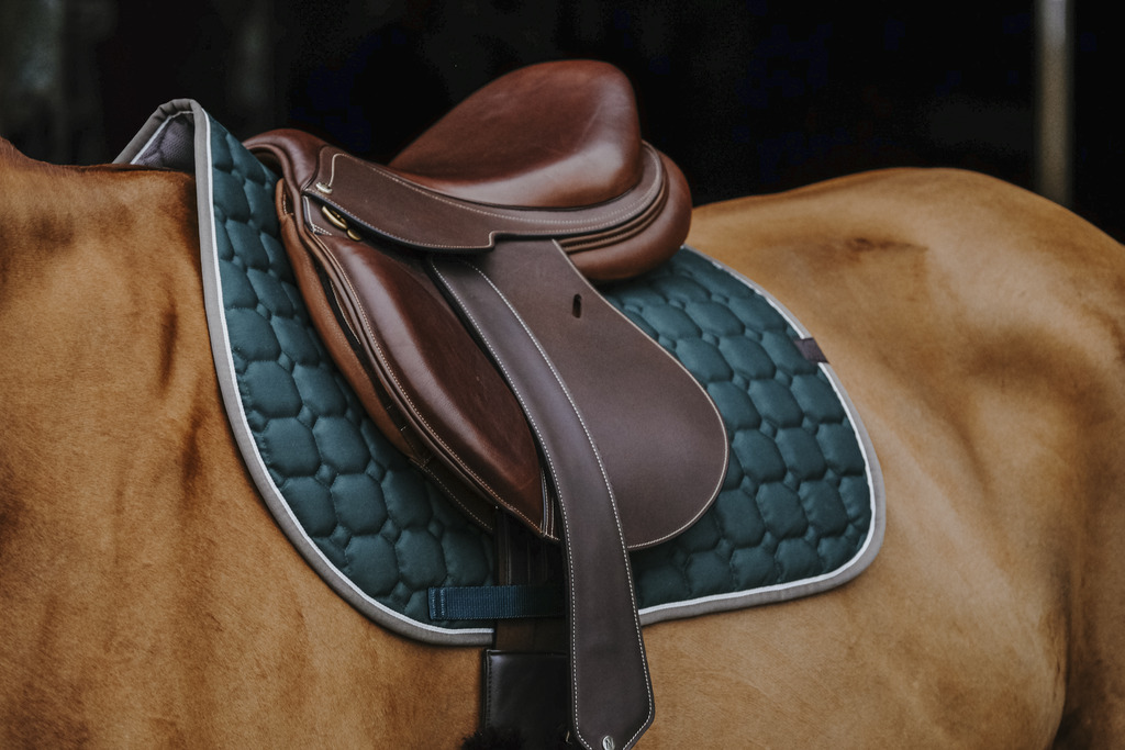 EQUITHEME 'Orion' Saddle Pad Dark Green - Full size - 3