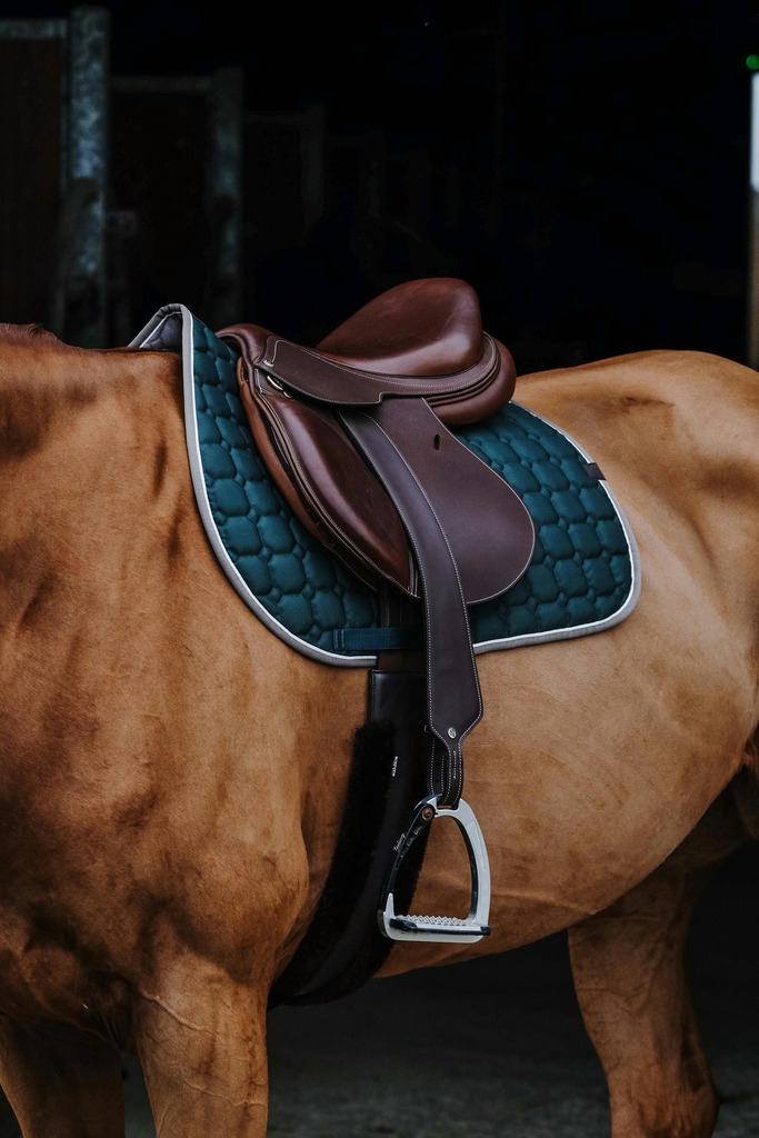 EQUITHEME 'Orion' Saddle Pad Dark Green - Full size - 4