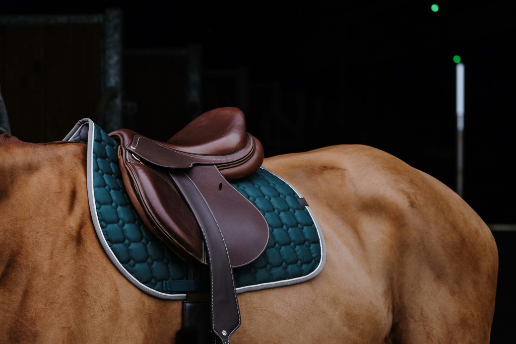 EQUITHEME 'Orion' Saddle Pad Dark Green - Full size - 5