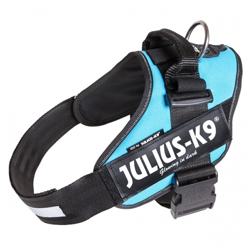 Julius-K9 IDC® ‑valjaat koiralle – Aquamarine (turkoosi), 3 - 3