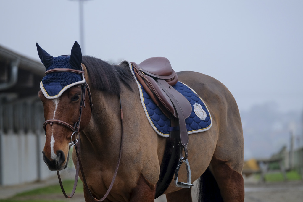 EQUITHEME 'Denim' Saddle Pad Blue - Full size - 3