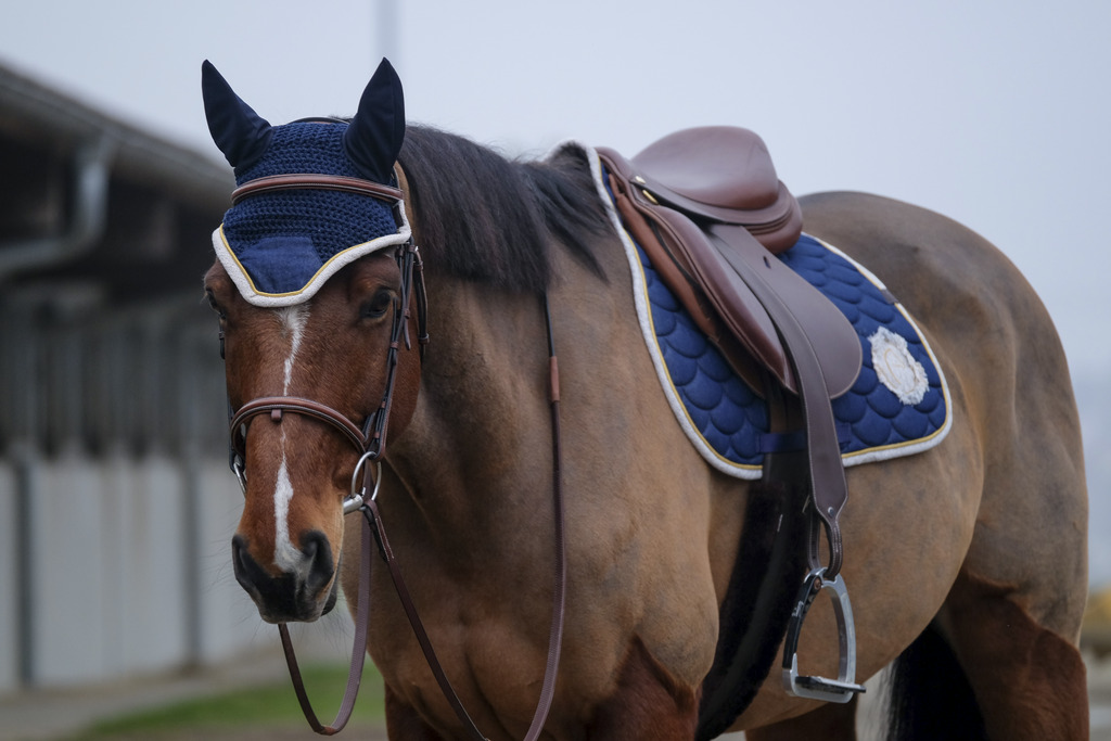 EQUITHEME 'Denim' Saddle Pad Blue - Full size - 2