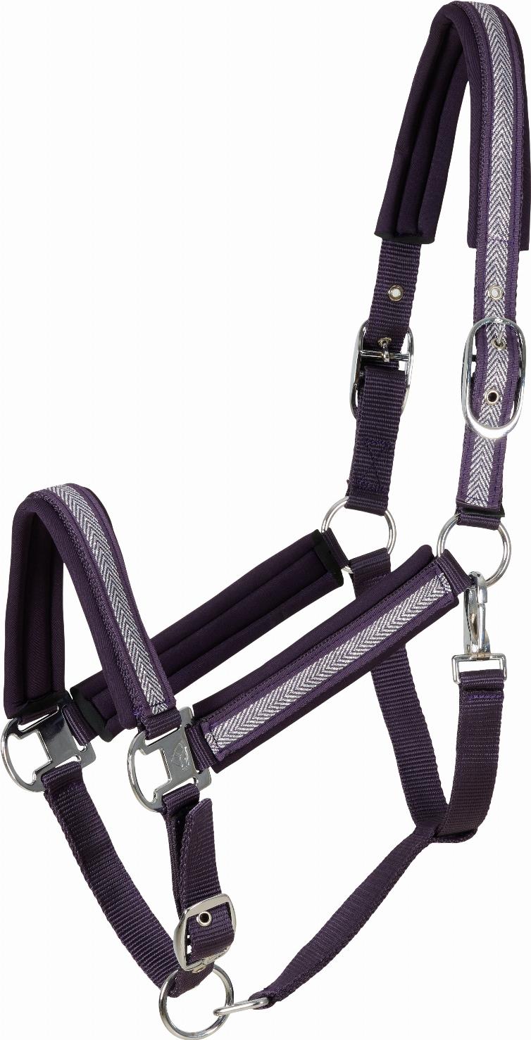 CATAGO Nate Grimma - Plum Perfect (PONY)