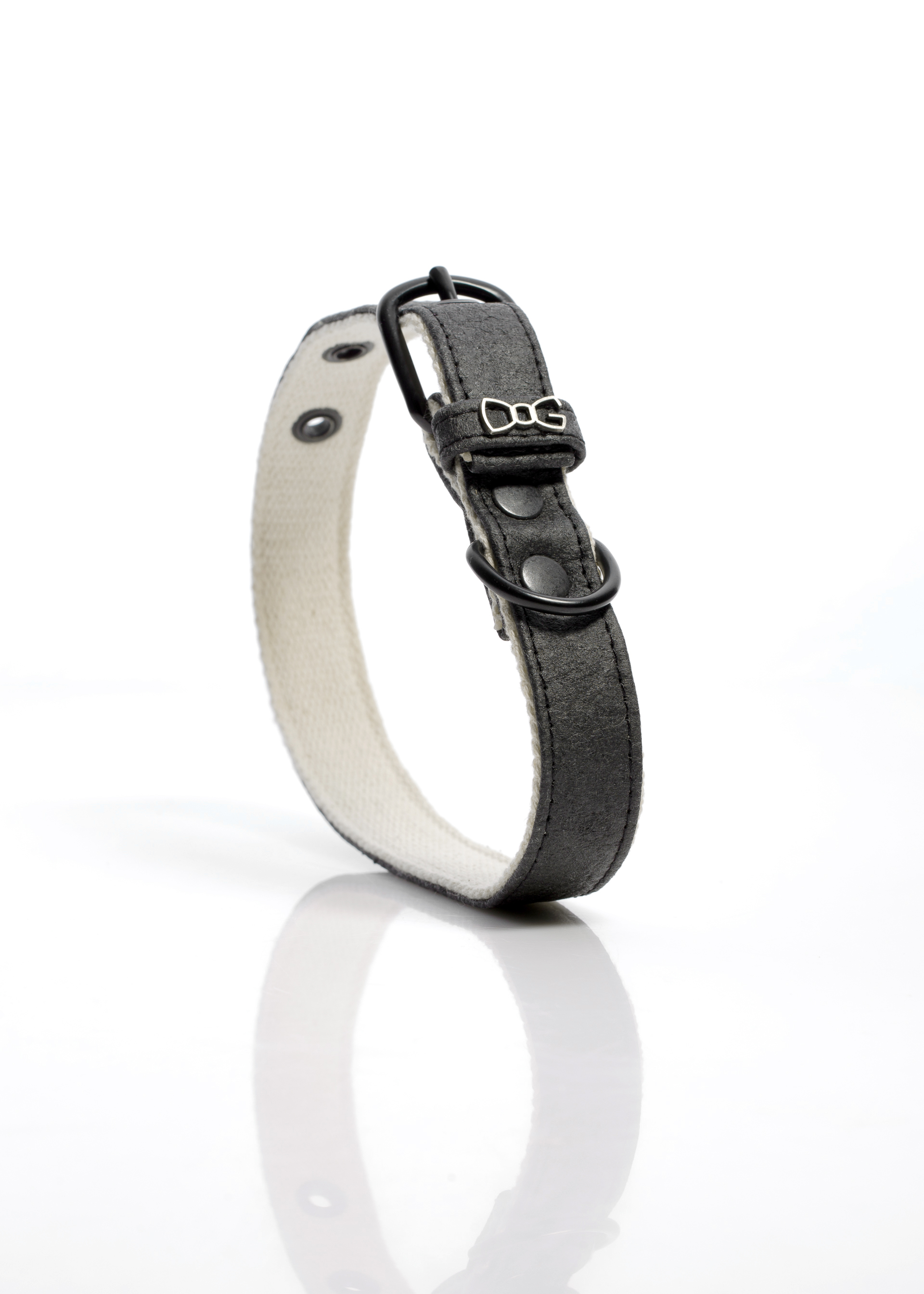 Funky Dog - Hundhalsband, Svart , M - endast detta ex - 6
