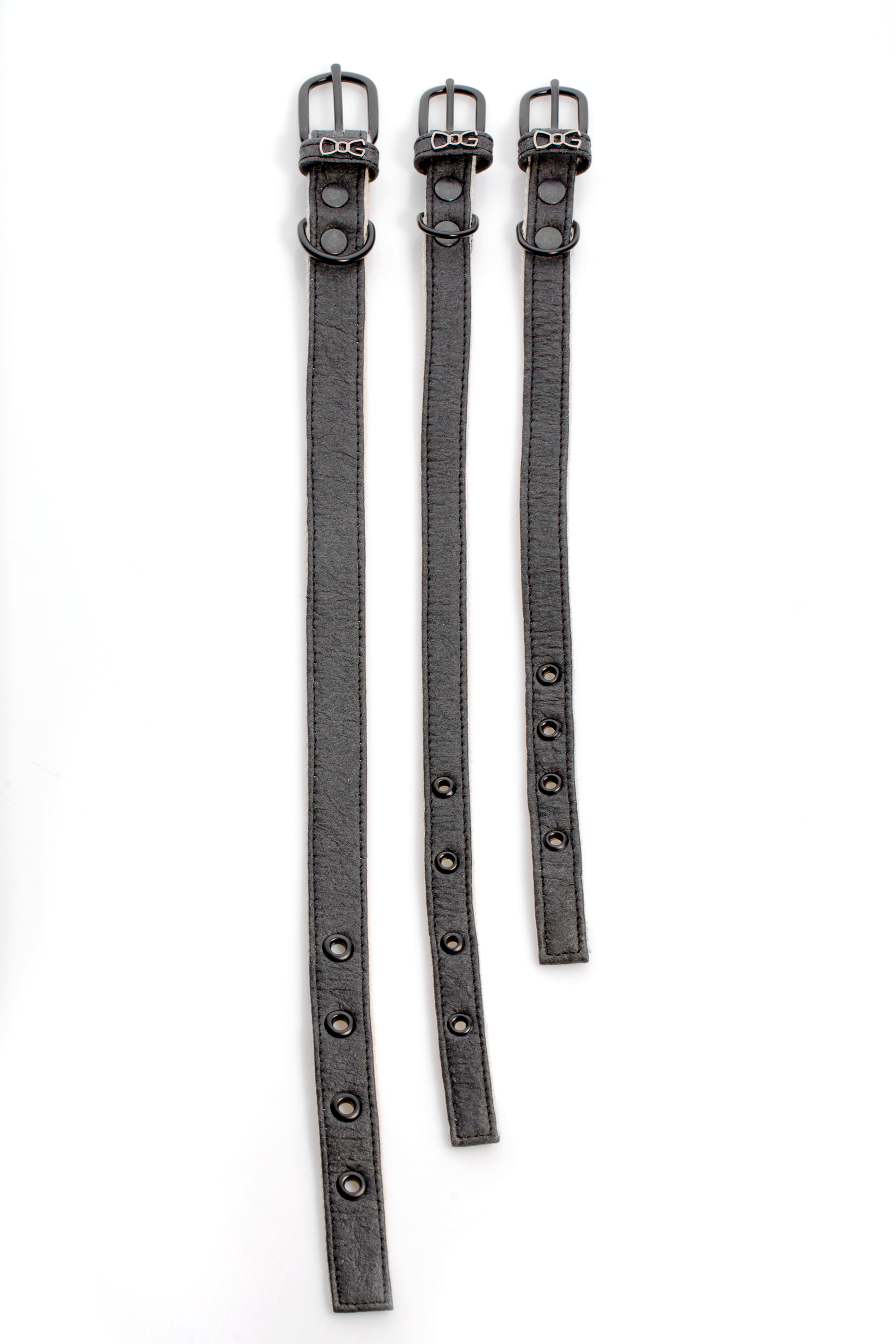 Funky Dog - Hundhalsband, Svart , M - endast detta ex - 7
