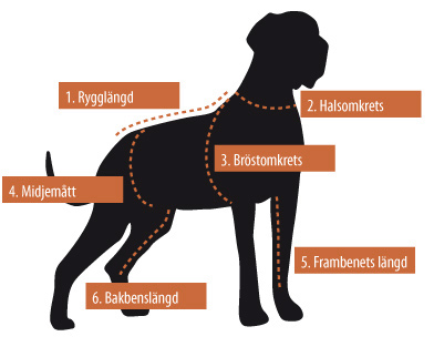 Petster ”Doggy Style” ‑t-paita - 5