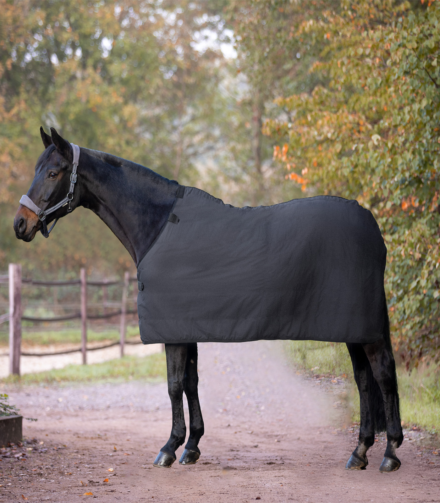 Waldhausen Liner, Fleece svart