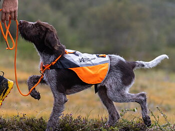 Non-Stop Dogwear Protector Cover 2.0 Reflective Vest – White/Black/Orange, L