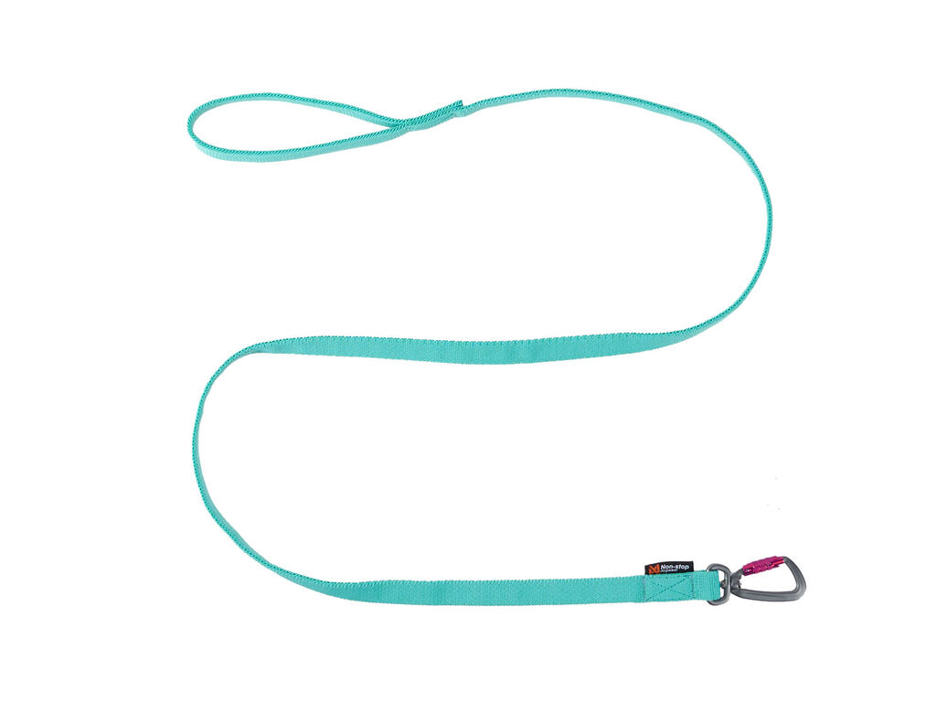 Non-Stop Dogwear Bungee Dog Leash – Aqua, 2.0m/23mm - 2