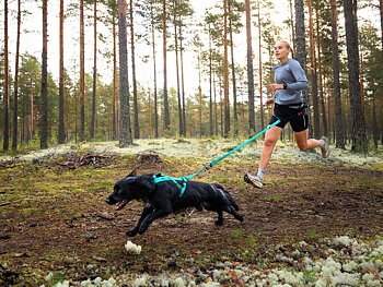 Non-Stop Dogwear Bungee Hundkoppel - Aqua , 2.0m/23mm