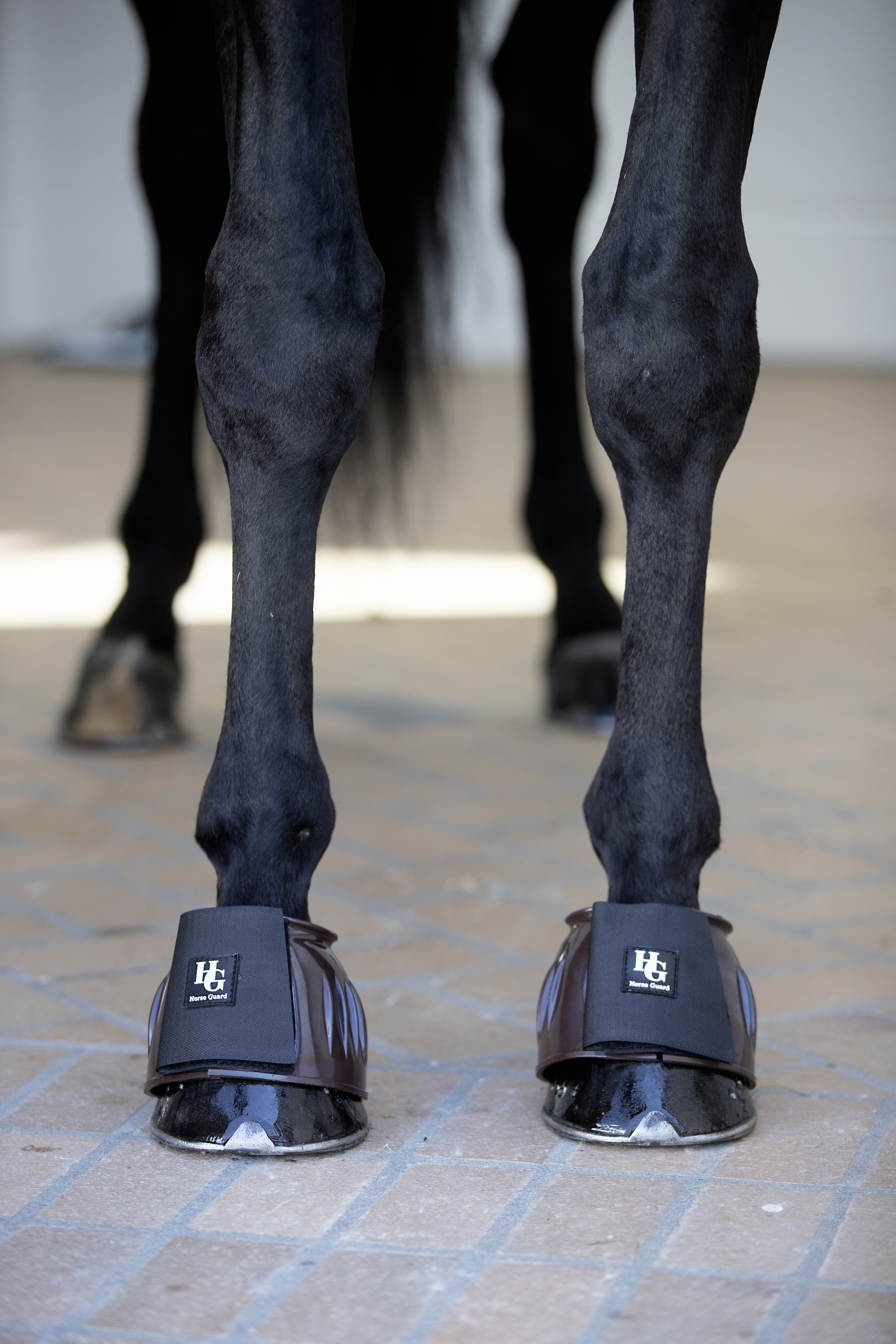 HorseGuard Tamsin Boots  - Brun - 2