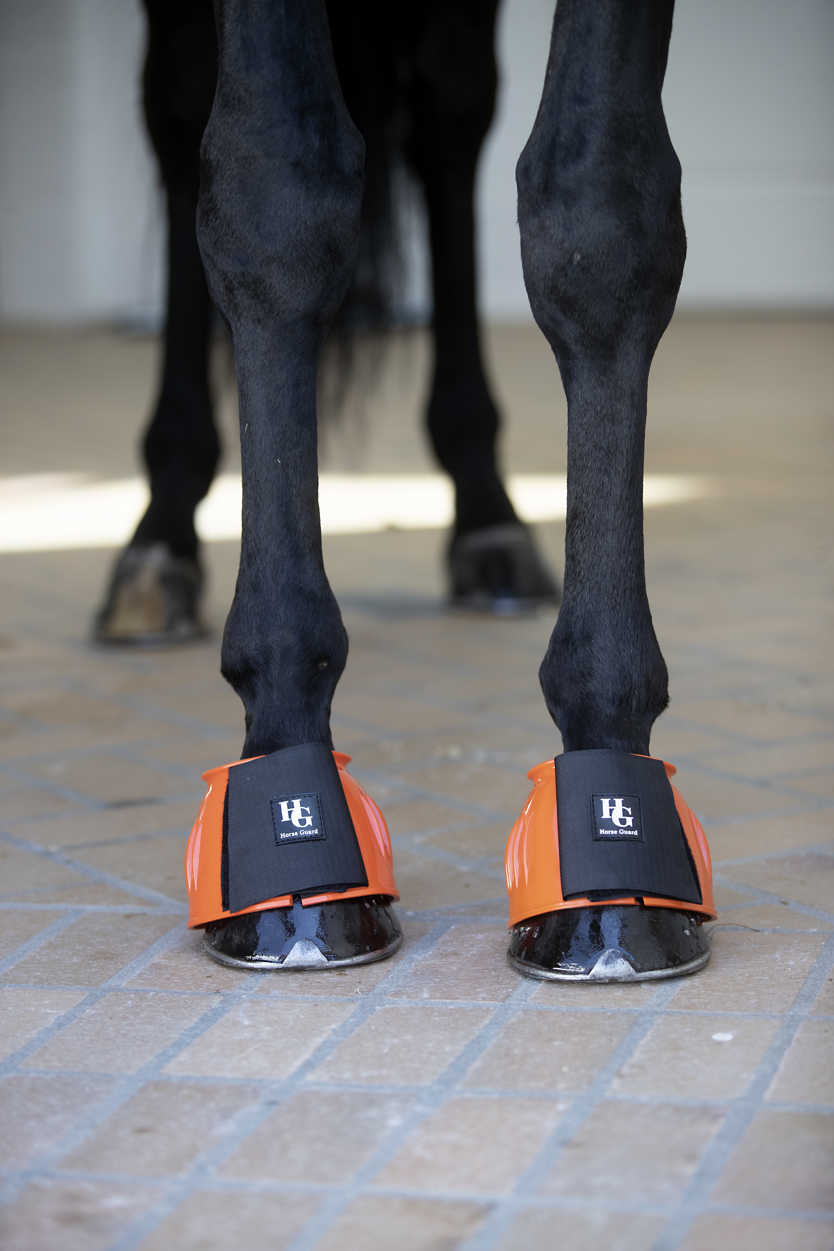 HorseGuard Tamsin Bell Boots - Orange - 2