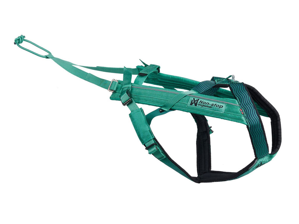 Non-Stop Dogwear Freemotion 5.0 Koiran Valjaat - Aqua, 7