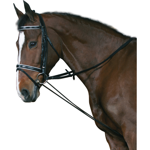 Horse Guard Elastic Chambon - Black