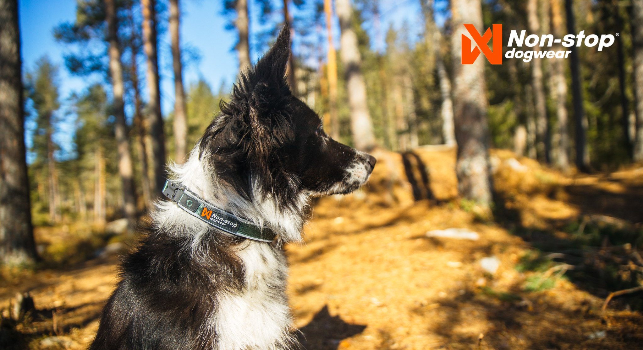 Non-stop Dogwear Roam Kaulapanta - Sininen, 3XL - 3