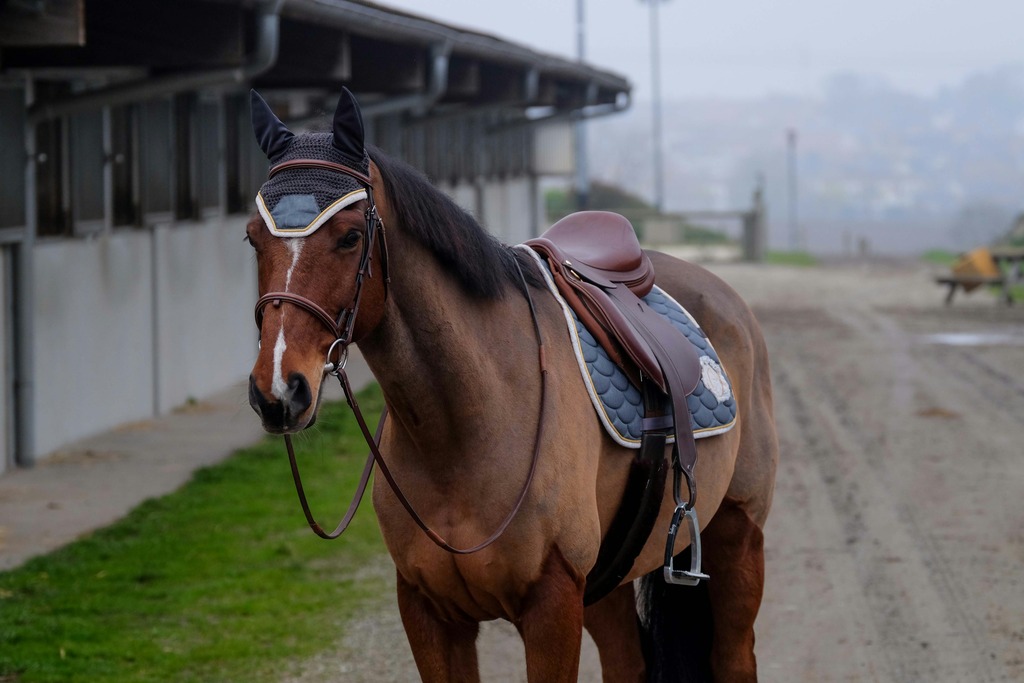 EQUITHEME 'Denim' Fly Mask Grey - Full size - 6