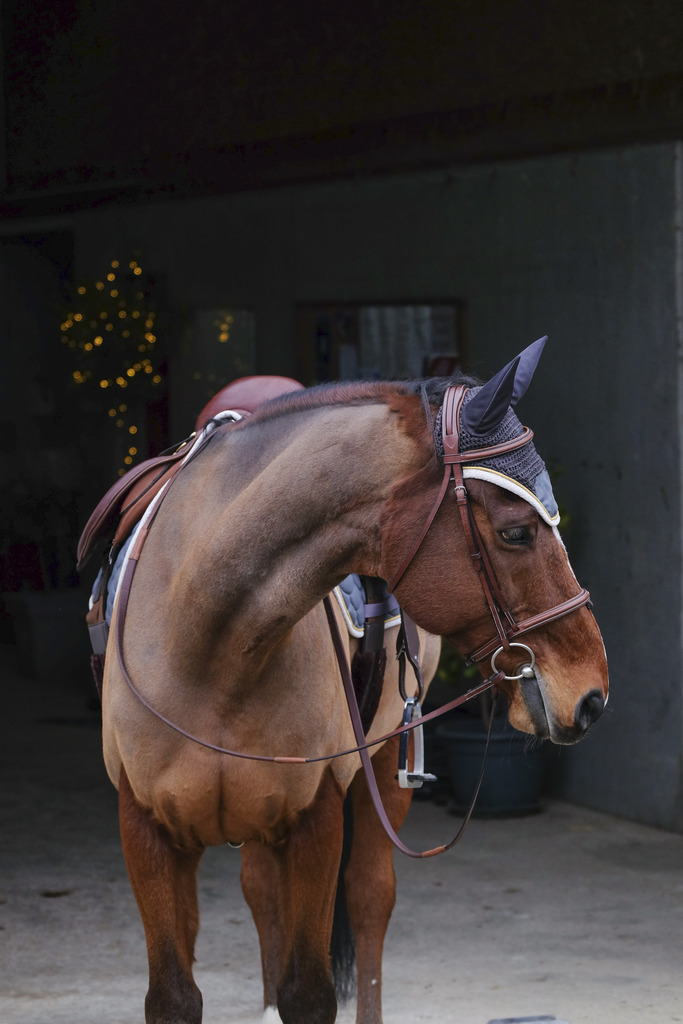 EQUITHEME 'Denim' Fly Mask Grey - Full size - 5