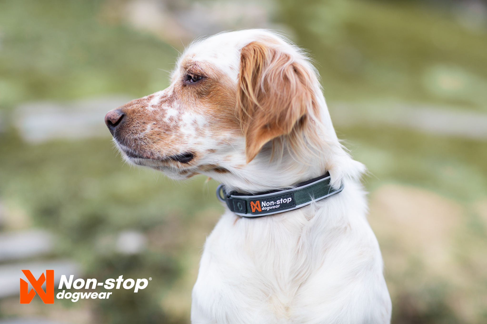Non-stop Dogwear Roam Kaulapanta - Sininen, XL - 2