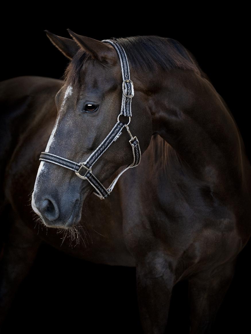 HorseGuard Taro Grimma - Svart (PONY)