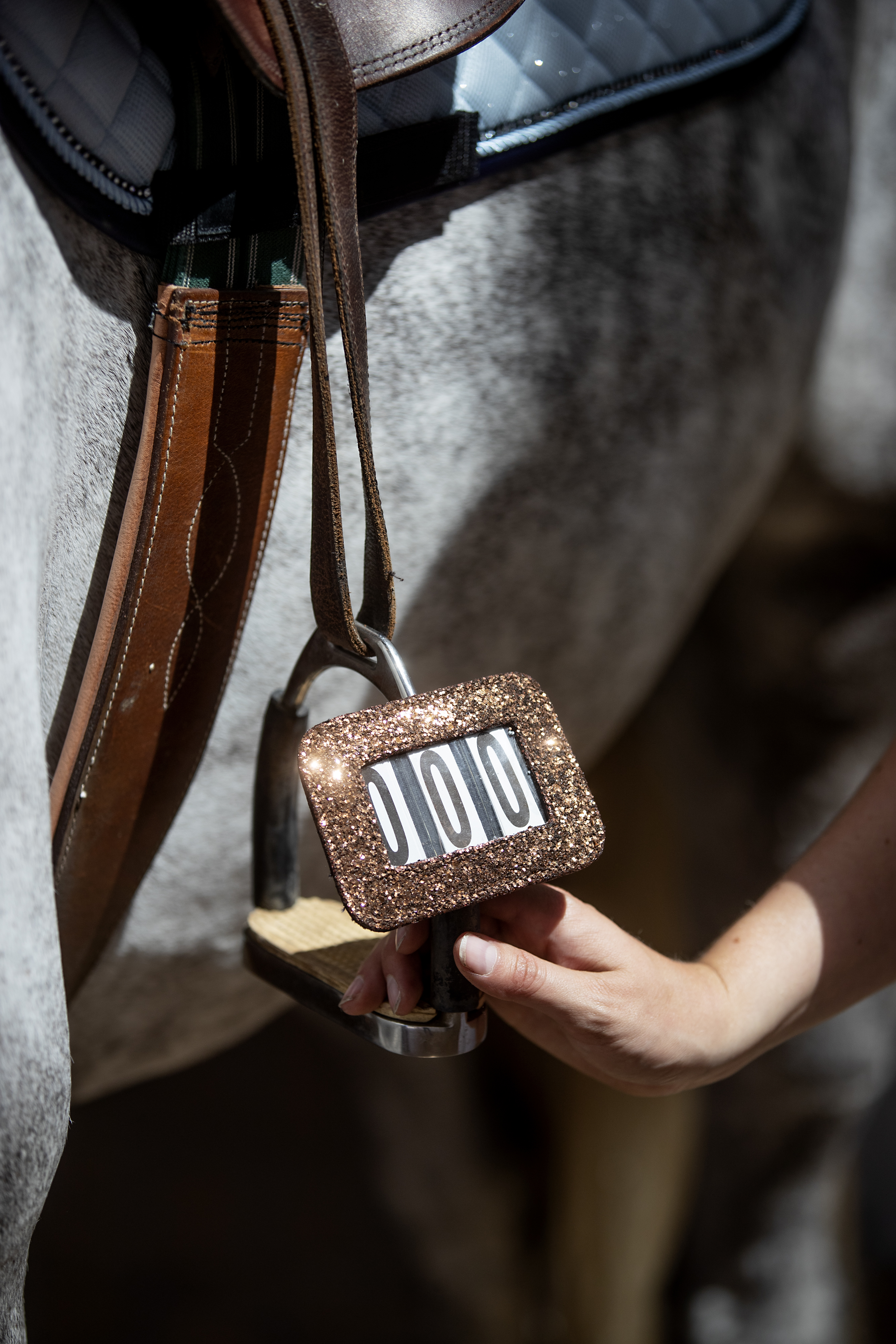 HorseGuard Competition Number - Brown - 2