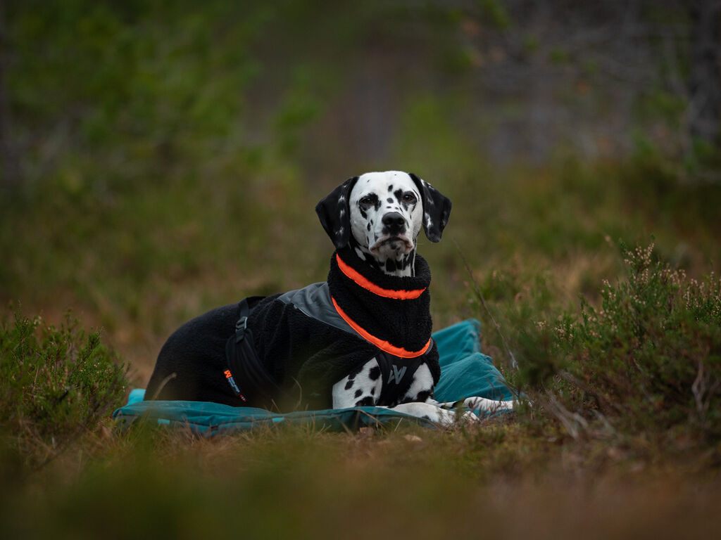 Non-Stop Dogwear Trekking Fleece Hundtäcke - Svart/Orange , 33 - 2