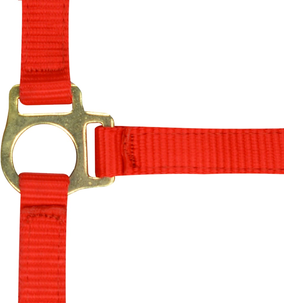 NORTON Fölgrimma + Grimskaft Röd