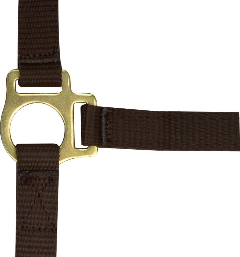 NORTON Fölgrimma + Grimskaft Brun