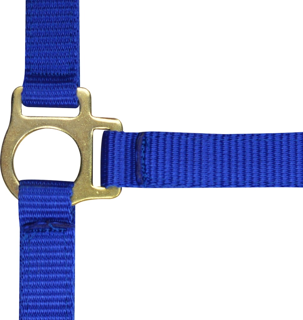 NORTON Fölgrimma + Grimskaft Royal Blue