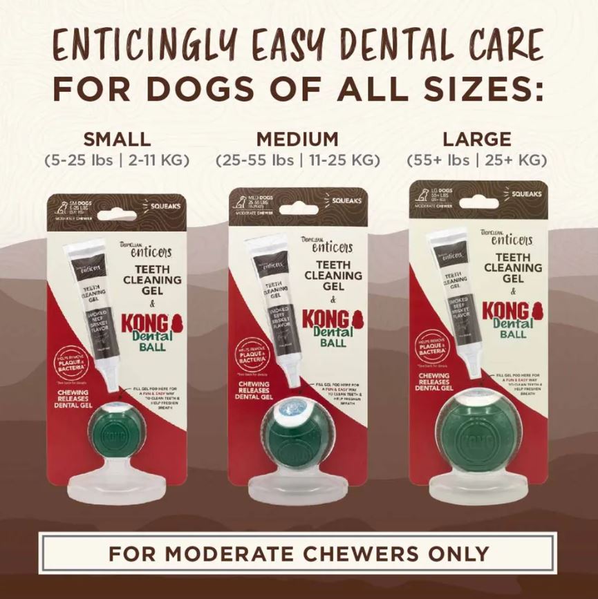 Kong Tropiclean Denta Ball Dental Cleaning for Dogs - M