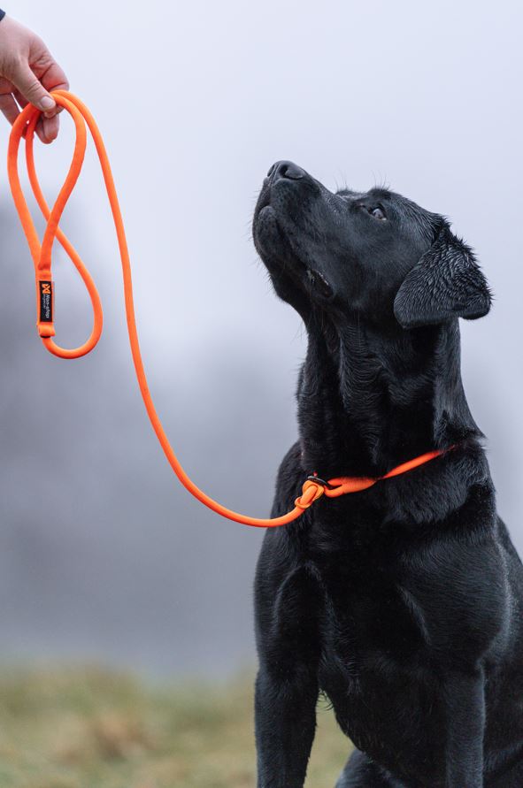 Non-Stop Dogwear Noutajatalutin 1,6m - Oranssi, 6mm/1,6m - 2
