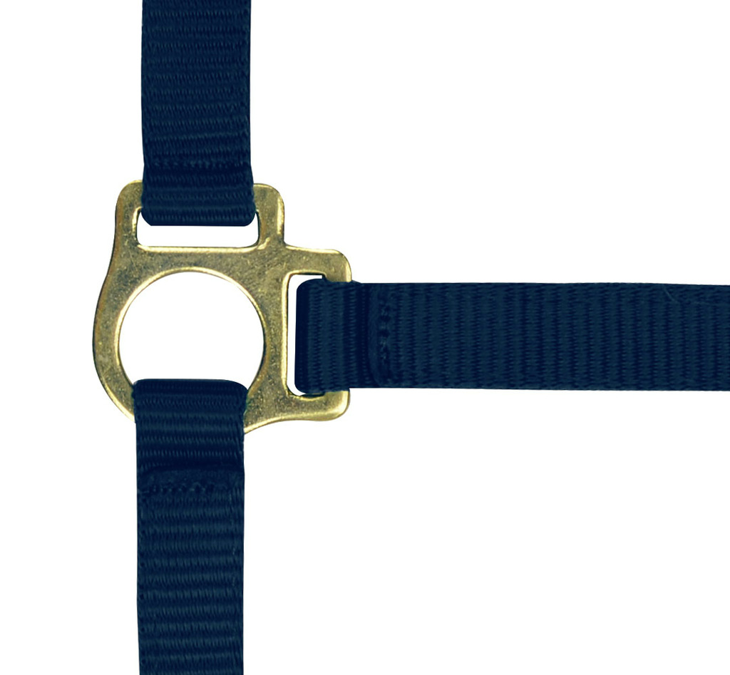 NORTON Foal Headcollar + Lead Rope Navy Blue - 2