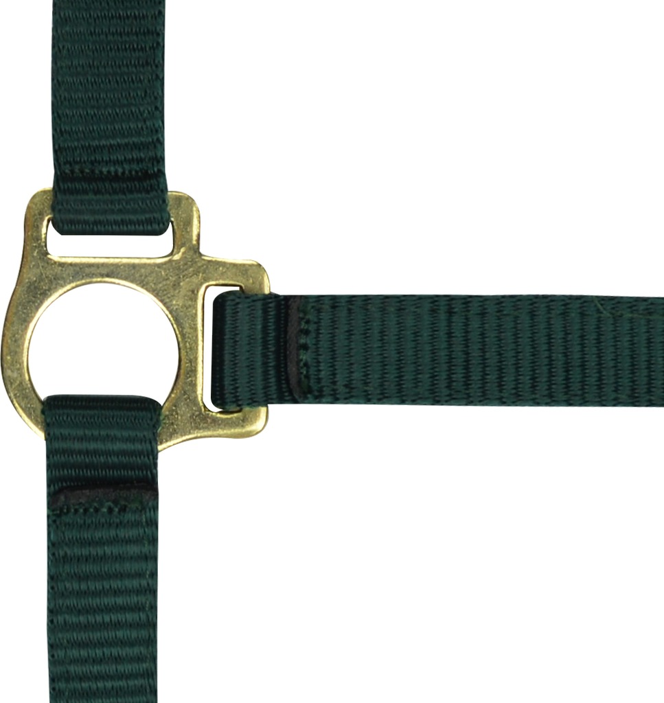 NORTON Fölgrimma + Grimskaft Mörkgrön