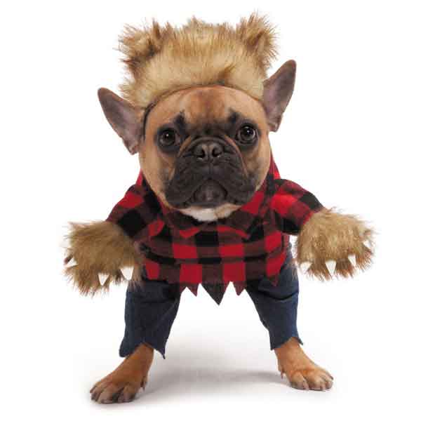 Zack & Zoey Werewolf Dog Costume - 4